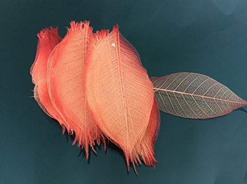 Vörös-Narancs Csontváz Kis Levelek, 3 Inch, Természetes Színű Virág Készítése Természetes Gumi Levelek