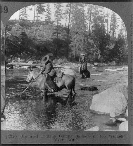 Fotó: Hegyi Indiánok Gaffing Lazac,Winachee Folyó,Washington,WA,Lóháton,c1922