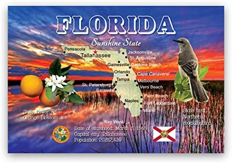 Florida TÉRKÉP, Képeslap Készlet 20 Azonos Képeslapok. FL Állami térkép Lapok. Made in USA.